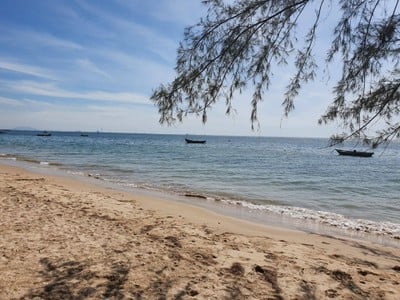 ชายหาดพลา