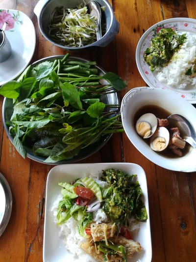 ข้าวราดแกง ผักสด พะโล้
