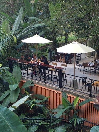 บรรยากาศ Jaes Café Tree mountain