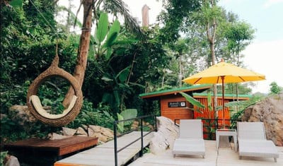Jaes Café Tree mountain
