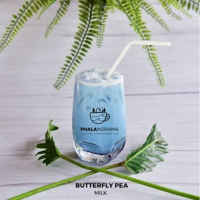 นมอัญชัน