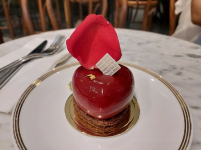 Today Special Christmas