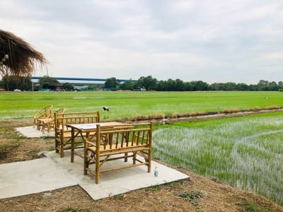 อิ๊กซ์ฟอร์เรสเต้ (IX Foreste’)