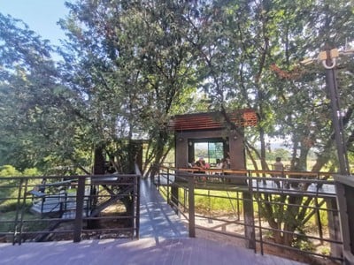 ต้นมะขาม Tonmakam