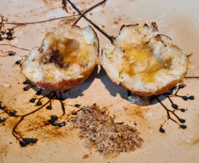 Banana Caramel, Dried Anchovies