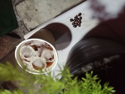 โควบลูเลม่อนโซดา