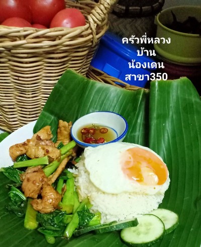 ผัดคะน้า