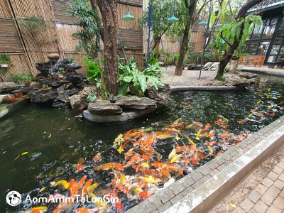 บรรยากาศ