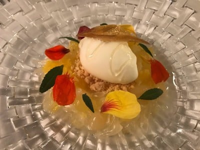 Yogurt foam with lemon balm sorbet