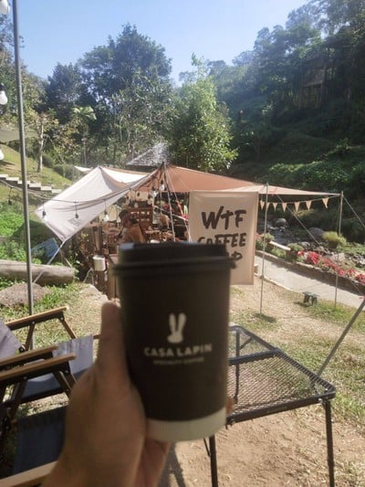 Wtf Coffee Camp