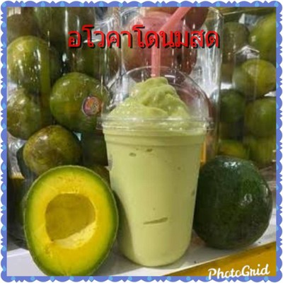 อโวคาโดนมสด