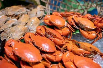 เมนูของร้าน JW Cafe JW Marriott Phuket