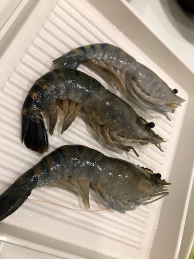 กุ้งแม่น้ำ