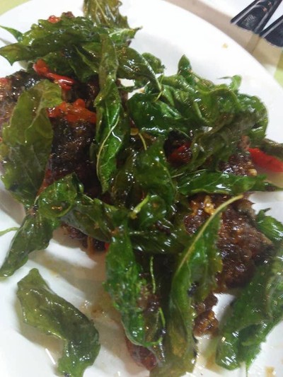 ผัดไข่เยี่ยวม้าใบกะเพรากรอบ