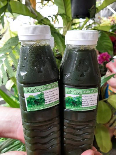 [โปรตบโต๊ะ]ชุดน้ำใบบัวบก2ขวดแท้(หญ้าหวาน0%)250ml