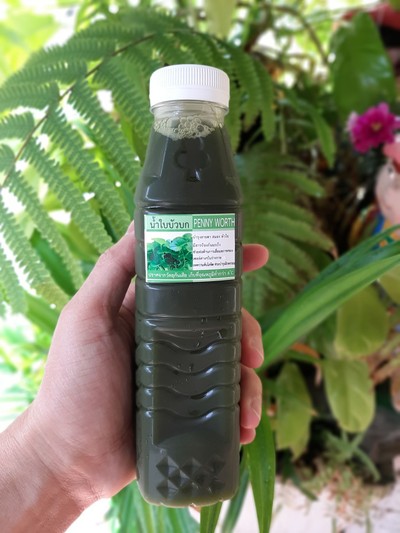 น้ำใบบัวบกแท้100%  (หญ้าหวาน0%)250ml