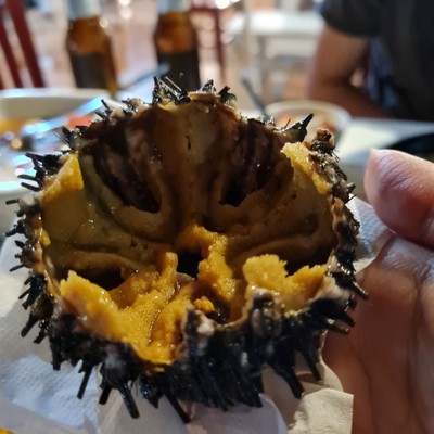 หอยเมน ซาซิมิ