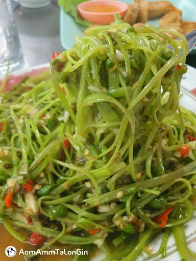 ผัดผักบุ้งฝอยกรอบ