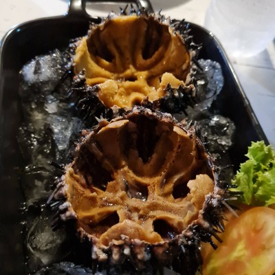 หอยเมน ซาซิมิ