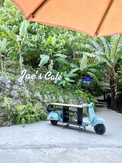Jaes Café Tree mountain