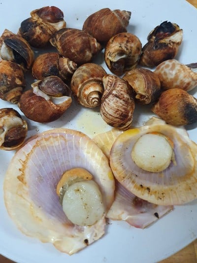 หอยหวาน และหอยเชลล์