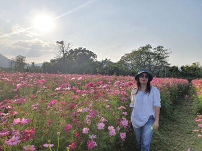 ทุ่งดอกไม้
