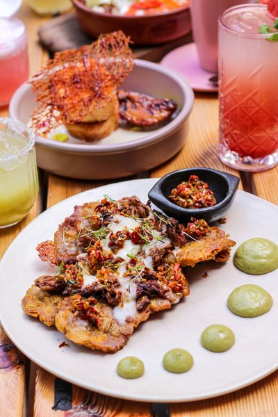 🌶 Venezualian Patacon