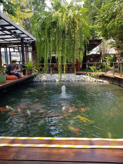 บรรยากาศ