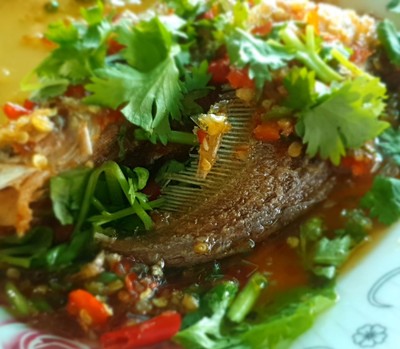 ปลาแดงสามรส