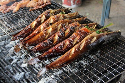 ปลาดุกย่าง