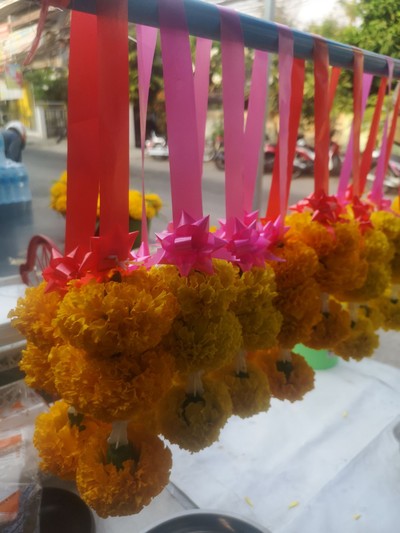 พวงดาวเรือง