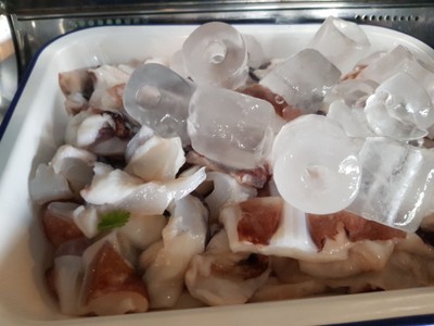 ปลาหมึก