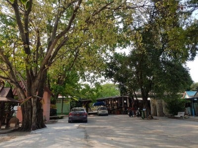 บรรยากาศ สำนักปฎิบัติธรรมเทพพิทักษ์ผล