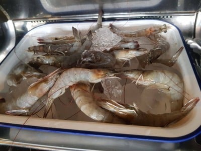 กุ้ง