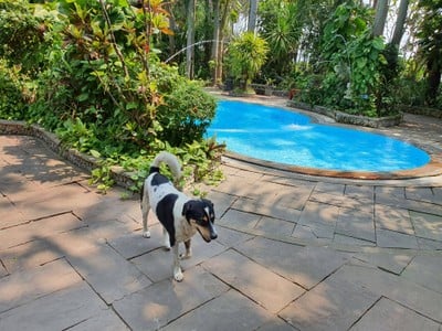 นายสุดหล่อ