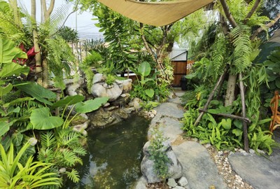 บรรยากาศ