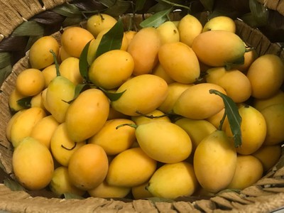 มะยงชิด 1kg. ปลอดสาร