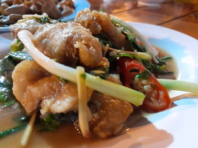 ปลากะพงผัดกุ้ยช่าย