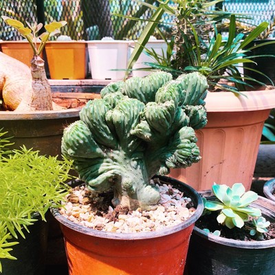 วิวนอกห้อง