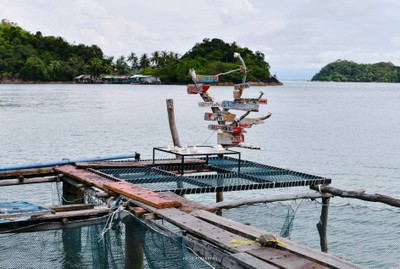 หนีความวุ่นวาย...ไปพักกายพักใจที่ "เกาะไม้ซี้โฮมสเตย์ จ.ตราด