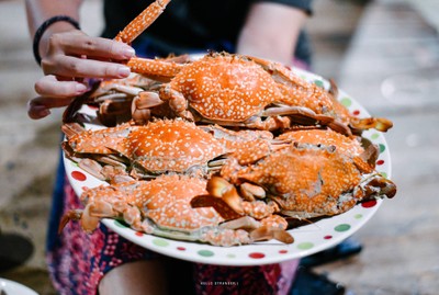 หนีความวุ่นวาย...ไปพักกายพักใจที่ "เกาะไม้ซี้โฮมสเตย์ จ.ตราด