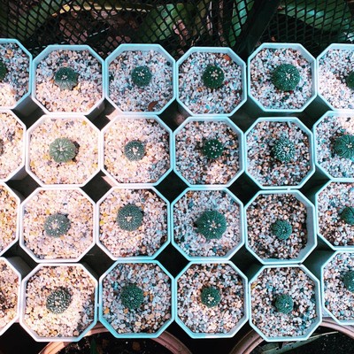 วิวนอกห้อง