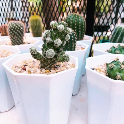 วิวนอกห้อง