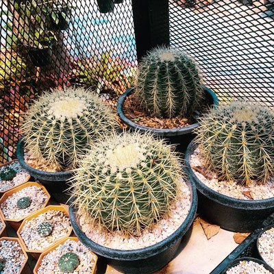 วิวนอกห้อง