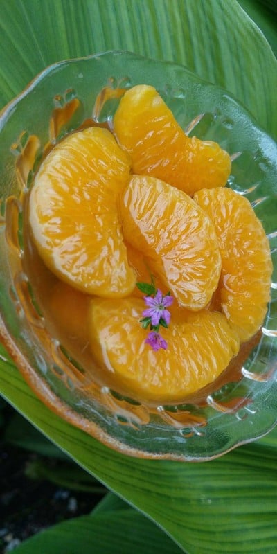 ส้มลอยแก้ว