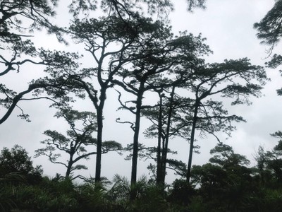 ดอยหลวงตาก