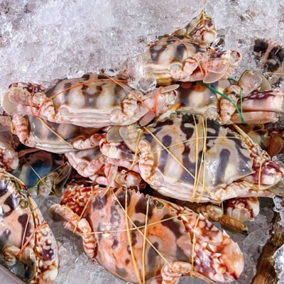Seabar Buffet เมืองเอก เมืองเอก