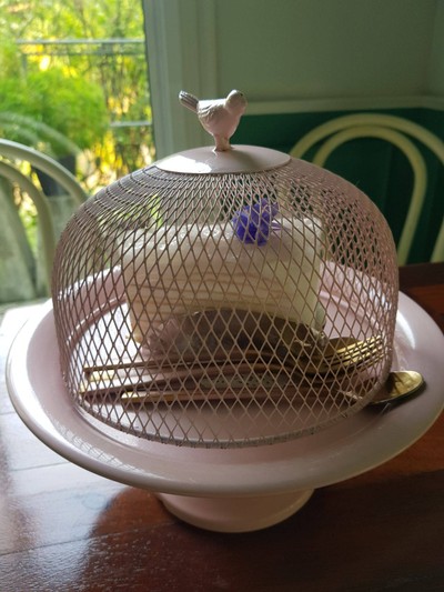 ชิฟฟอนมะพร้าว