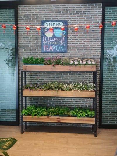 บรรยากาศ