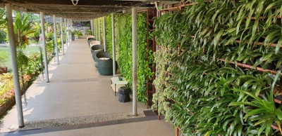 บรรยากาศ